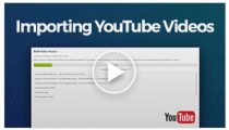 vlogger-video-wordpress-theme-youtube-video-import